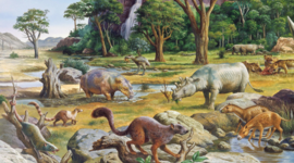 Timeline: Era Cenozoica