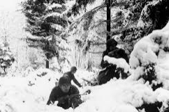 Battle of Bulge