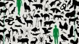 Timeline: Experimentación en los animales y los cambios éticos por silvia gimeno