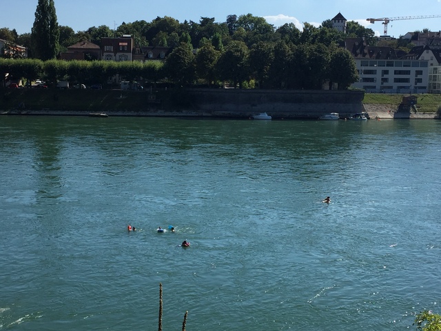 Went Rhein Swimming for the first time