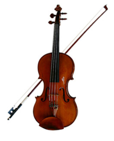 Began Learning How to Play Violin