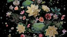 Timeline: La botánica a través del tiempo