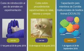 í. El BOE del 31-10-1997 publico el Real Decreto 1599/1997, de 17 de octubre, sobre productos cosméticos.