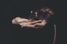 Sobre investigadores