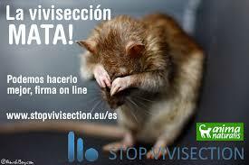 en la investigación