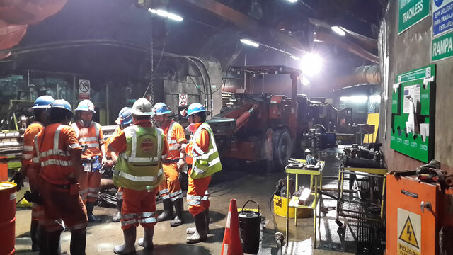 Aparición de los primeros exámenes médicos