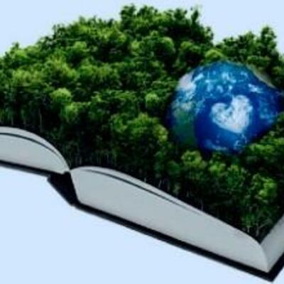 Timeline: Desarrollo Sustentable