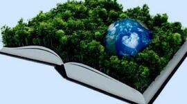 Timeline: Desarrollo Sustentable