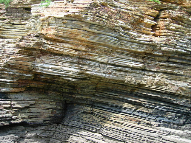 Siglo XVII. Estudios de Steno en Toscana