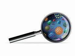 Real Decreto 664/1997