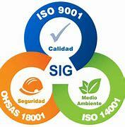 Resolución 0312 de 2019