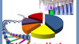 Timeline: Historia, precursores y principales aportes de la estadística