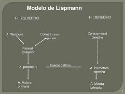 Liepmann