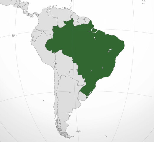 60´s. Renovación de la enseñanza de la Geología en Brasil
