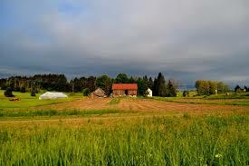 Bought a farm outside of Ravenna