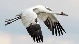 Timeline: Экомай