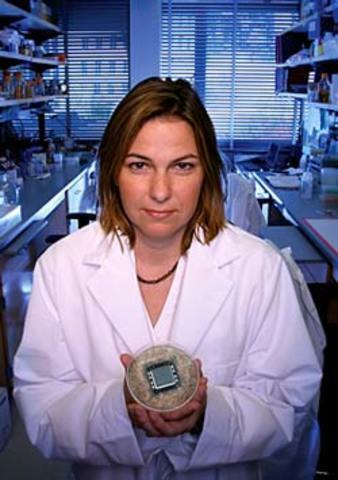 Batería de iones de lítio.