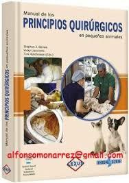 El respeto hacia los animales