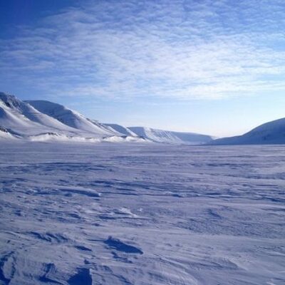 Timeline: урок по окружающему миру "Природные зоны"