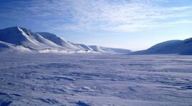 Timeline: урок по окружающему миру "Природные зоны"