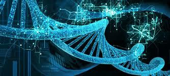 “Declaración de y Rijeka. Hacia el futuro de la bioética