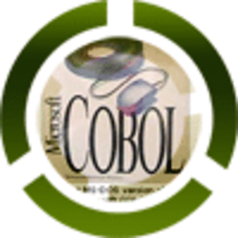 The Common Business-Oriented Language (COBOL) programming language is invented.