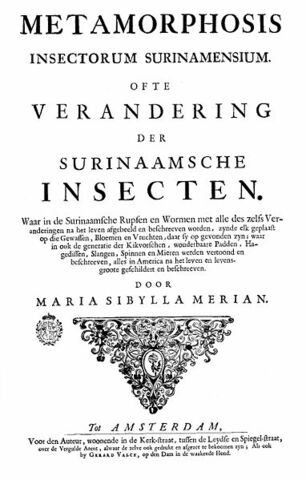 Maria Sibylla Merian Publishes Metamorphosis insectorum Surinamensium