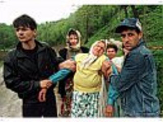 Bosnian Refugees