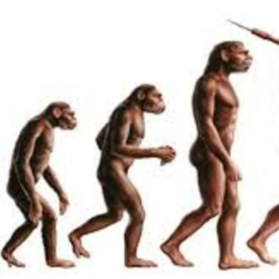 Timeline: Evolución del hombre