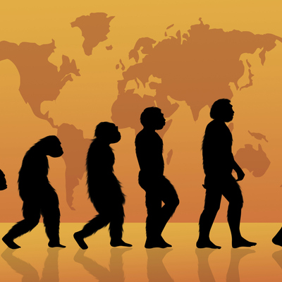 Timeline: La evolución del hombre