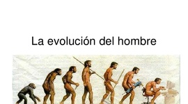 Timeline: EVOLUCION DEL HOMBRE