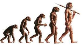 Timeline: La evolución del hombre