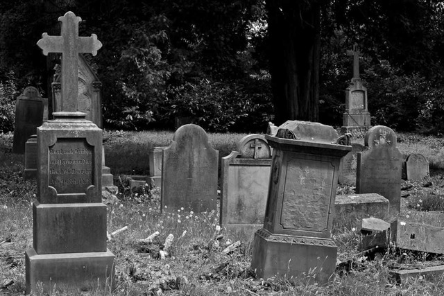 Average lifespan was around 20 years old