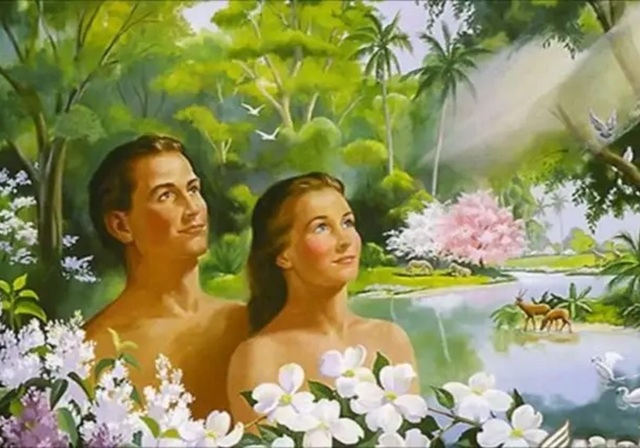 El Hombre Y La Creación