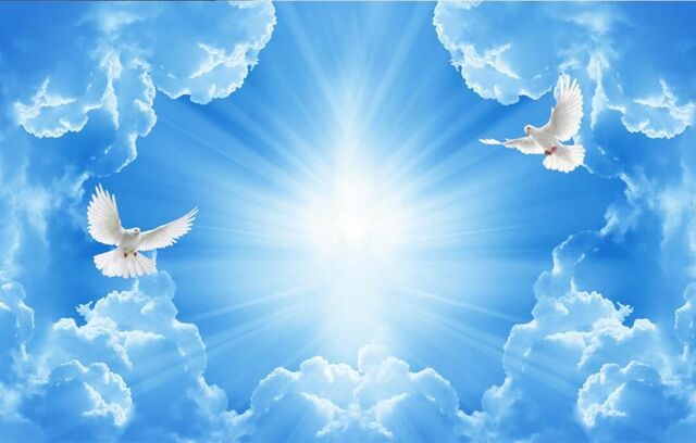 Promesa de un salvador