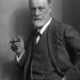 Sigmund freud, by max halberstadt (cropped)