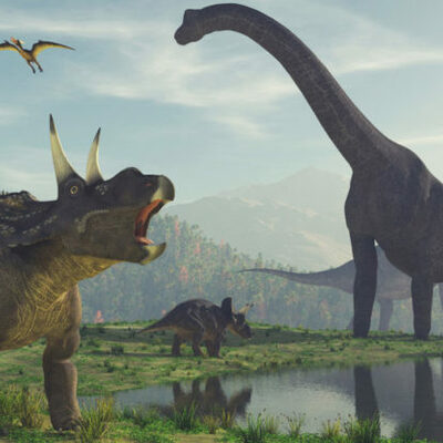 Timeline: Línea do tempo Bioloxía