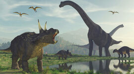 Timeline: Línea do tempo Bioloxía