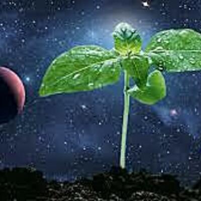 Timeline: Fase 1 Antecedentes