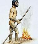 Homo Erectus