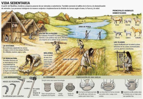 Economía Paleolítico
