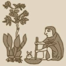 OTRAS NOCIONES AS NOCIONES DE CAUSAS