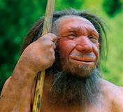 Neanderthal Interbred
