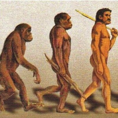 Timeline: La evolución del hombre