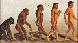 Timeline: La evolución del hombre