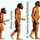 Prehistoria hominizacion