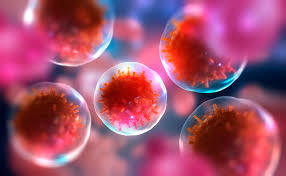 Taxonomía de las enfermedades