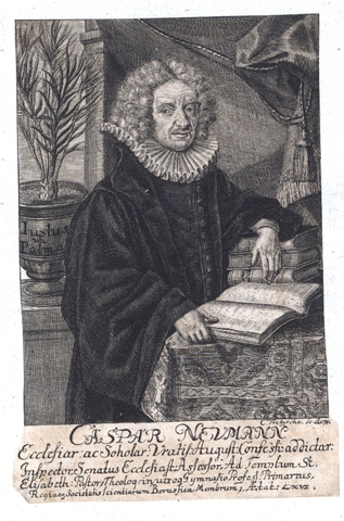Gaspar Neumann