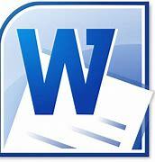 Surge la www (word, wide, wed) una aplicacion que se usa en la red