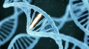 Aplicación de técnicas estadísticas al estudio de problemas biológicos